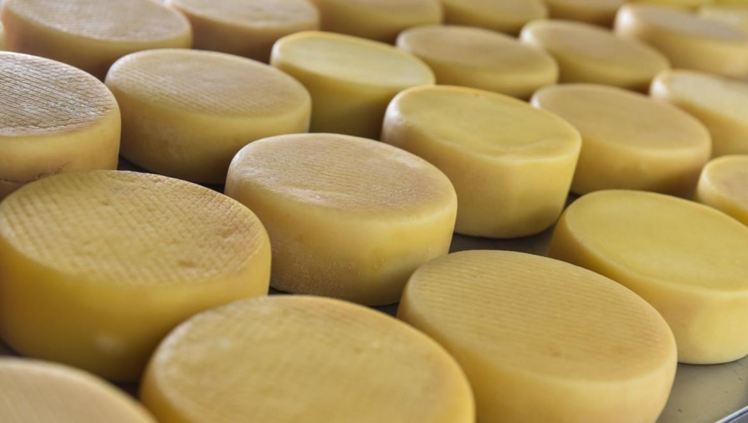 Câmara aprova criação do Concurso Municipal de Queijo do Vale do Jamari 