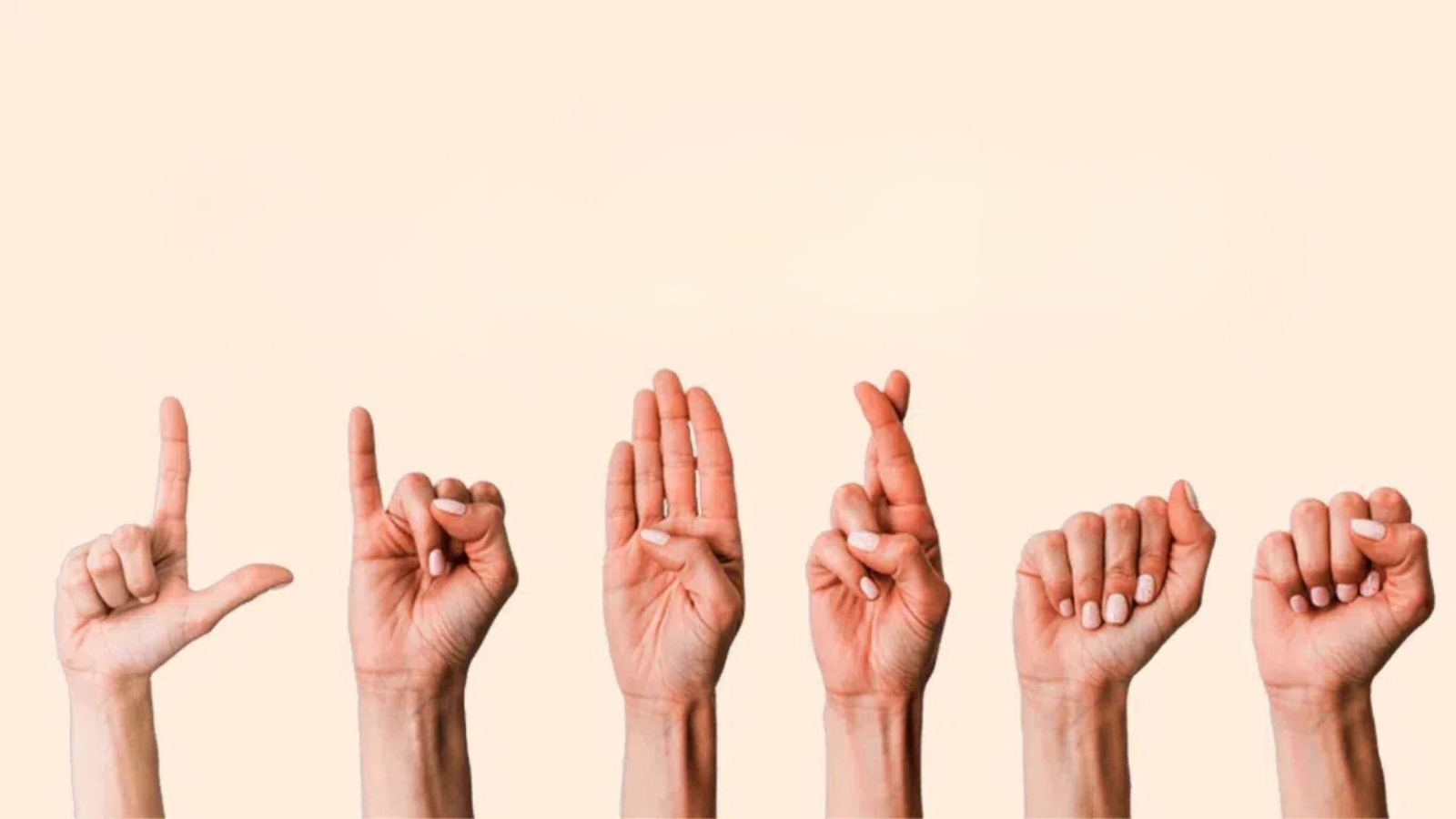 Vereadores aprovam projeto que garante acessibilidade em sessões com intérprete de Libras  