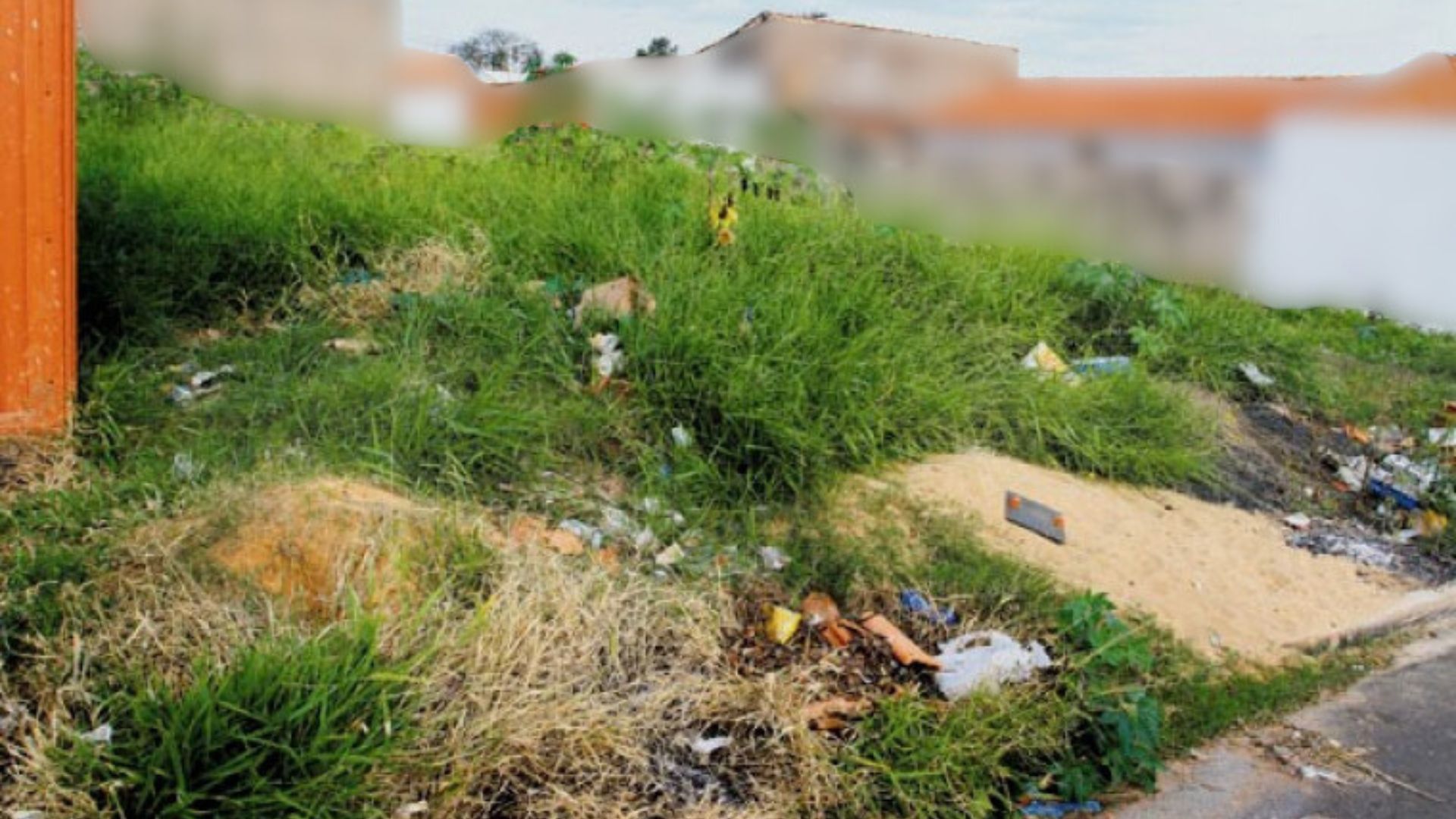 Vereadores aprovam projeto que reforça limpeza de terrenos baldios